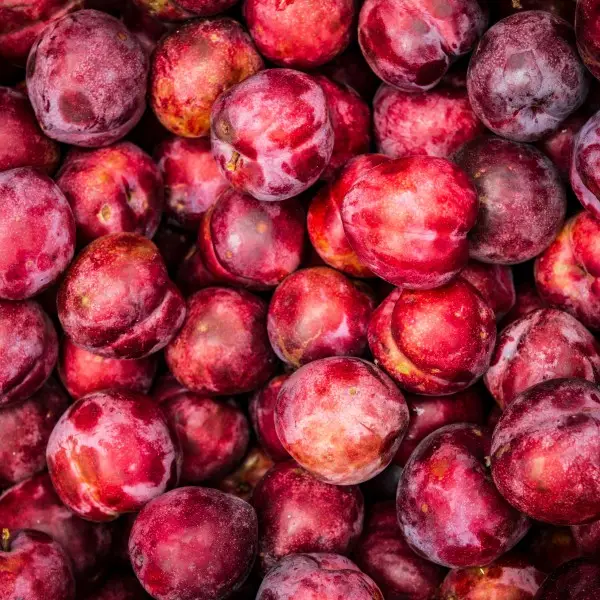 Obst & Gemüse