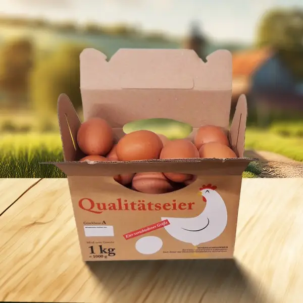 1 kg